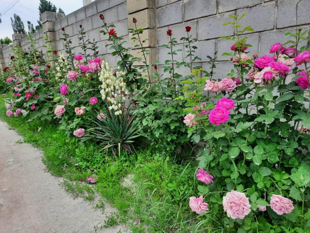 Homestay Jaisel Bishkek Exterior photo